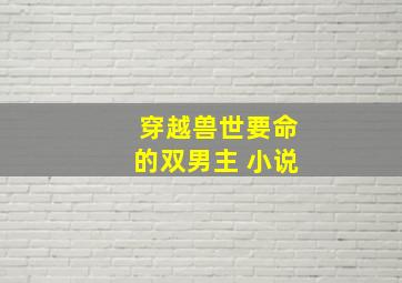 穿越兽世要命的双男主 小说